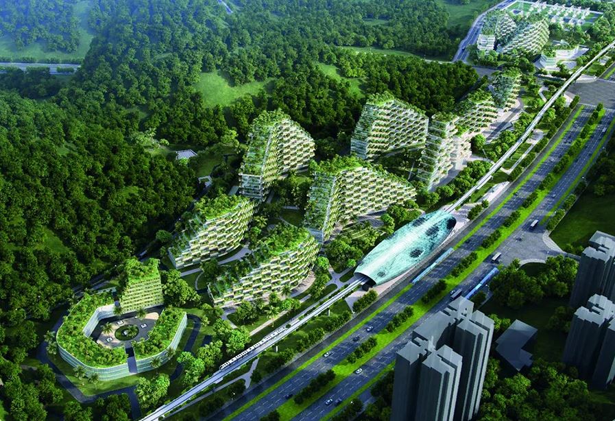This meme is a visual representation of a city's infrastructure being completely overgrown by nature. The image shows a city's roads, buildings, and infrastructure being covered in lush greenery, with trees and vines crawling over everything. The text "I'm not saying we're not doing anything, I'm just saying we're doing it differently" appears in the image, implying that the city is being taken over by nature in a way that is not being actively controlled.